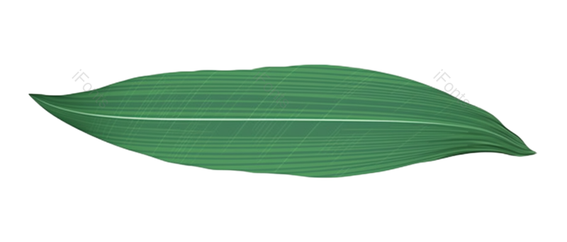 叶子图片,纹理元素,元素PNG,传统免抠素材